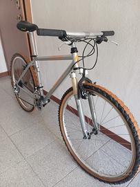 Stumpjumper vintage acciaio