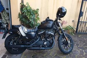 Harley davidson 883