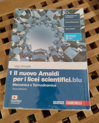 il nuovo Amaldi per i licei scientifici.blu 1