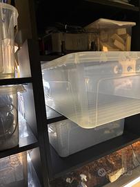 Rack 4 vasche 80 cm