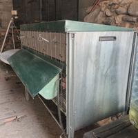 gabbia per galline