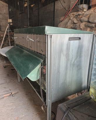 gabbia per galline