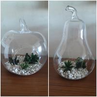 Vaso mela, pera in vetro. 