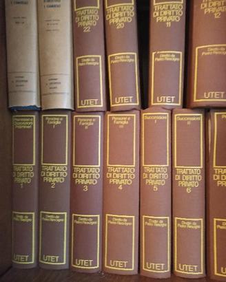Trattato giuridico di diritto privato