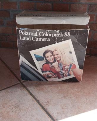 Polaroid