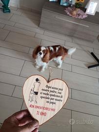 Cavalier king per monta