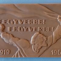 Targa comunista "Fegyverbe" 1969  Ungheria. rara