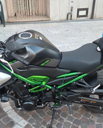 z900 2026