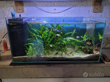 acquario completo cm 60x25x 30 altezza