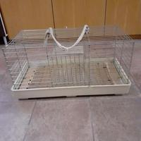 gabbie per conigli nano