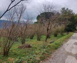 Terreno agricolo