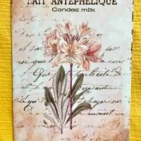 Targa decorativa metallo cm 20x30