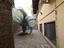 Immagine 11