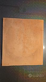 Biscotto per forno Effeuno originale 