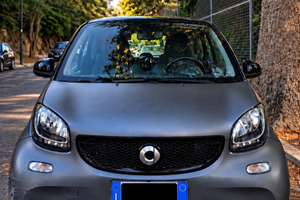 Smart four two 