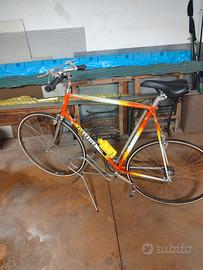 bicicletta sportiva Pinarello