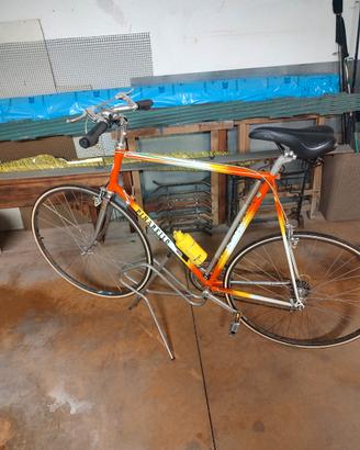 bicicletta sportiva Pinarello