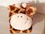 Immagine 4