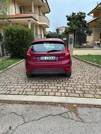 Adamo
