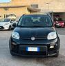 fiat-panda-1-0-firefly-s-s-hybrid-sport
