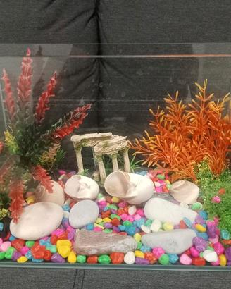 ACQUARIO+DEPURATORE D'ACQUA 
