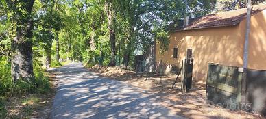 Terreno con fabbricato a Mirabello S. (CB)