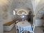 Immagine 7