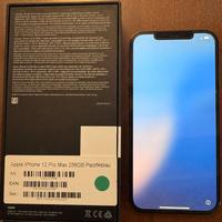 Iphone 12 Pro Max 256 GB Blu