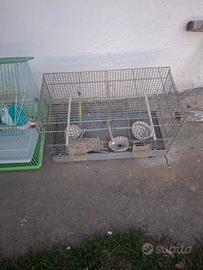 gabbie per uccellini