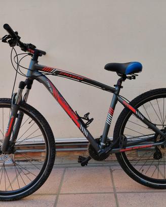 Bicicletta Mountain Bike Casadei FRX 610