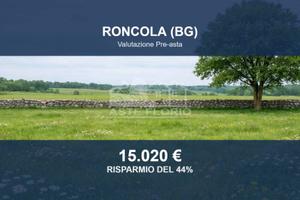 Immobile in asta di 22840 m² a Roncola