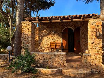Case vacanze