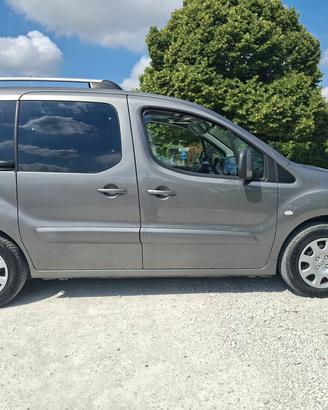 Peugeot Partner Tepee