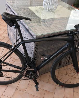 specialized