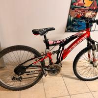 Bici ragazzo fino 12 anni