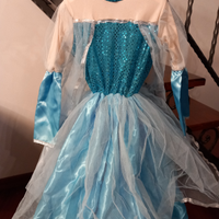 Vestiti carnevale frozen elsa ed anna