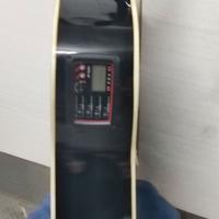 Chitarra elettroacustica