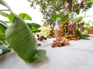 Pistacchio verde D.o.p di Bronte