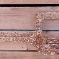 TAGLIOLA PER VOLPI STORICA