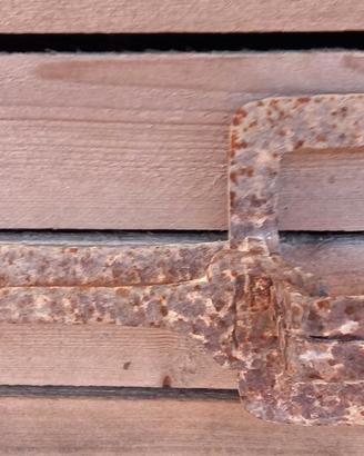 TAGLIOLA PER VOLPI STORICA