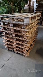 Disponibilità Bancali / pallet 100 x 120 cm