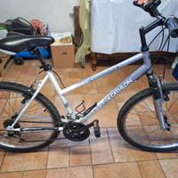 MTB Dechatlon