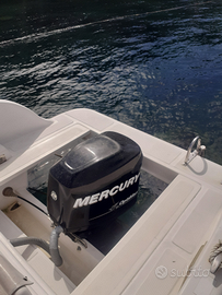 Barca con motore fuoribordo