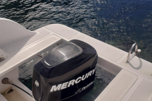 Barca con motore fuoribordo