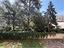Immagine 25
