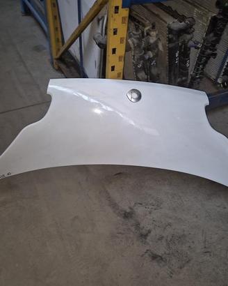 Cofano Motore Anteriore Per Smart Fortwo 2010