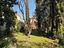 Immagine 26
