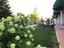 Immagine 13