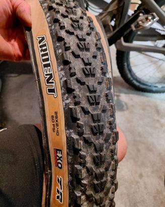 maxxis  ardent 29x2.4 