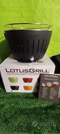 Barbecue  Lotus Grill 
